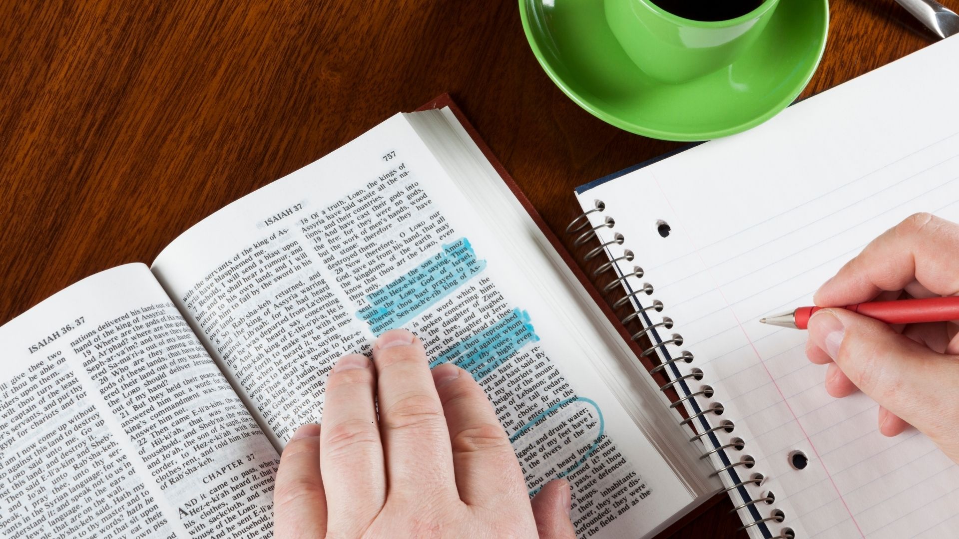 person studying the bible